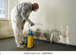 Environmental Consulting for Mold Prevention in Effingham, IL